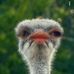Profile Picture of Brionna Kern (@brionna.kern.999) on Facebook