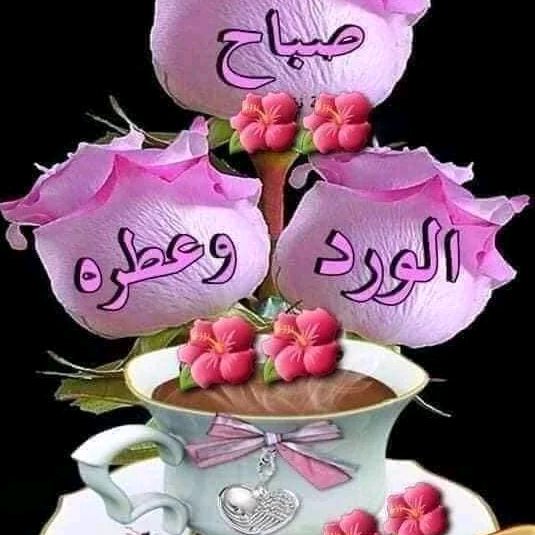 Profile Picture of muna abdallah (@munaabdallah34) on Tiktok