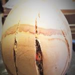 Profile Picture of Lonnie Hanson (@dragonsdaddy63) on Instagram