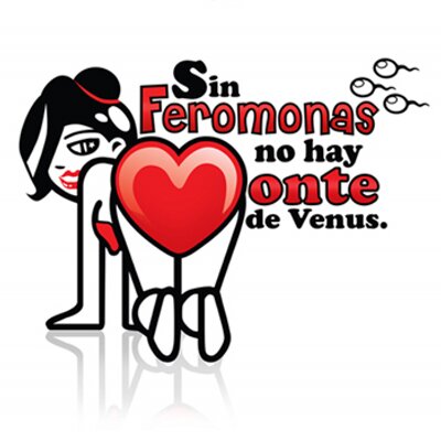 Profile Picture of Sin Feromonas (@SinFeromonas) on Twitter