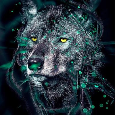 Profile Picture of Alex Evers (@AlexEvers4) on Twitter