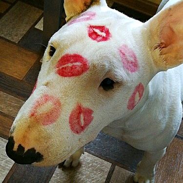 Profile Picture of Anton Kauffman (@@anton_kauffman_) on Tiktok