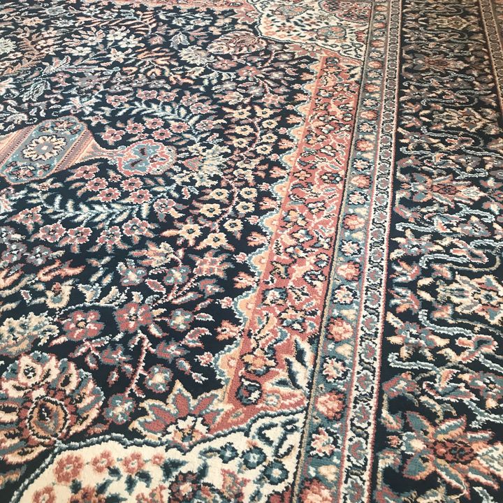 Profile Picture of Laila Alizadeh (@lailaalizadeh) on Tiktok