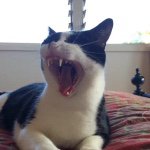 Profile Picture of Boy Boy Jeremy Hinkrich (@fetty_catt) on Instagram