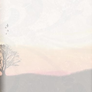 Profile Picture of Thomas Grothues (@301727226) on Myspace