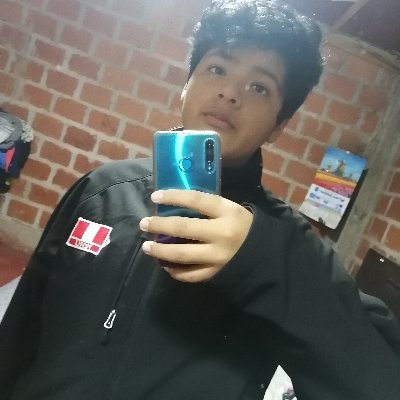 Profile Picture of André Lea Gómez (@AndrLeaGmez1) on Twitter
