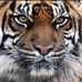 Profile Picture of Ralph Salman (@ralph.salman.75) on Facebook