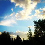 Profile Picture of Thomas Erhardt (@ionopatumer) on Instagram