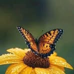 Profile Picture of Slindo Mathe (@Slindo-Mathe) on Facebook