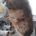 Profile Picture of Jeff Hayslett (@jeffhayslett) on Pinterest