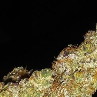 Profile Picture of Joe Veale (@joejoeveale) on Facebook