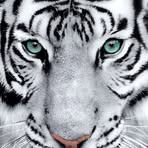 Profile Picture of Monica Guebara (@Monica-Guebara) on Facebook