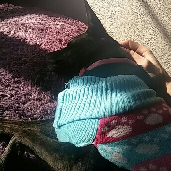 Profile Picture of Nick Ehll (@strangesmiles) on Poshmark