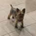 Profile Picture of Jaxon Dohrmann Alpert (@jaxon.dohrmannalpert.5) on Facebook