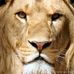 Profile Picture of Leo Watts (@leo.watts.5264) on Facebook