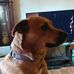 Profile Picture of Brandon Latimer (@brandon.latimer.313) on Facebook