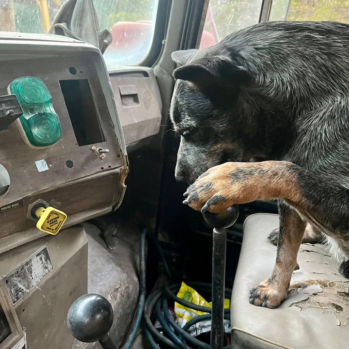 Profile Picture of garyholbrook137 (@@garyholbrook137) on Tiktok