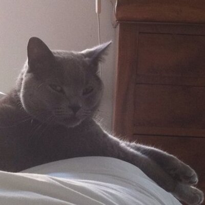 Profile Picture of Guillot Patrick (@GuillotPatrick1) on Twitter