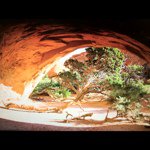 Profile Picture of mark_dransfield (@mark_dransfield) on Instagram