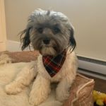 Profile Picture of Murphy David Fillion (@murphmanfillion) on Instagram