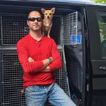 Profile Picture of Steve Mann (@trainerstevemann) on Instagram