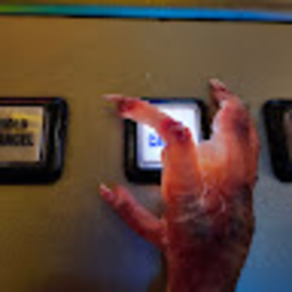 Max Watson - Poshmark Profile Picture of Max Watson (@151ordie) on Poshmark