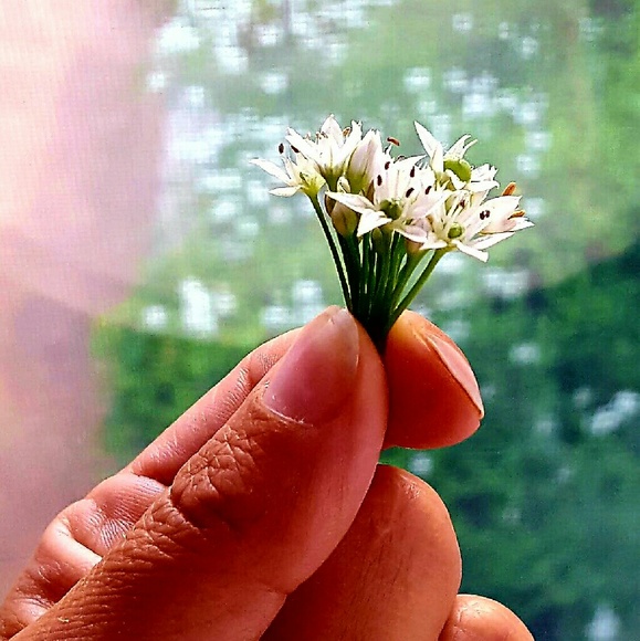 Profile Picture of Angie Salonek (@asalonek) on Poshmark