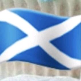 Profile Picture of Robert Mcclure (@robertmcclure7) on Tiktok