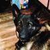 Profile Picture of Keith Olson (@keith.olson.969) on Facebook
