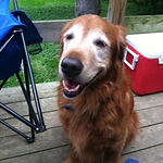 Profile Picture of Michael Bean (@michaelbean36) on Flickr