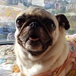Profile Picture of Jeremy (@cutecupp) on Instagram