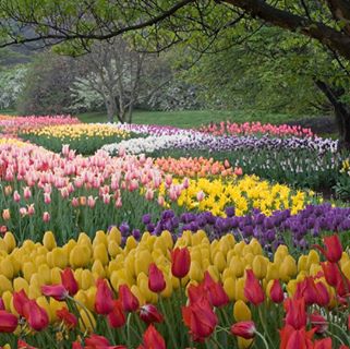 Profile Picture of Susan Helander Feds (@dorothy.helander.5) on Facebook