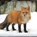 Profile Picture of Ronald Parson (@ronaldparson) on Pinterest