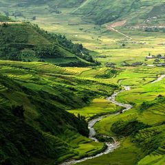 Profile Picture of William Levandovisk (@williamacre) on Tiktok