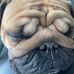 Profile Picture of Dave Meyer (@dave.meyer.1401) on Facebook