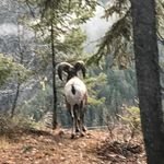 Profile Picture of Eric Michael Oddy (@oddyman68) on Instagram