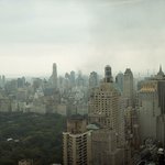 Profile Picture of Luciana Connolly (@lucianaconnolly) on Instagram