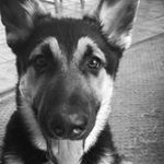 Melissa Ellis Peach - Instagram Profile Picture of Melissa Ellis Peach (@melissapeach) on Instagram