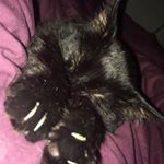 Profile Picture of Scott Warrington (@scott_warrington_) on Instagram