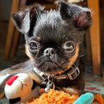 Profile Picture of Long Leg Gregg (@long_leg_gregg) on Instagram