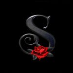 Profile Picture of lisa (@lisa_shockey) on Instagram