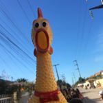 Profile Picture of chico lirou mérilu 🐔 (@chicolirouu) on Instagram