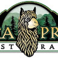 Profile Picture of David Capocci (@david-capocci-2) on Quora