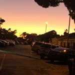 Profile Picture of Matthew McMahon (@matthewmcm7) on Instagram