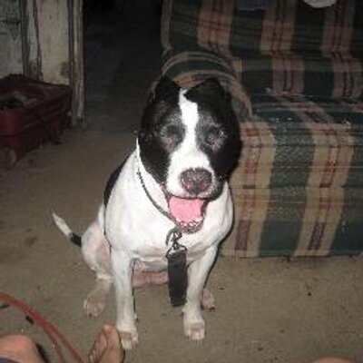 Profile Picture of Loretta Jones (@towmomma) on Twitter