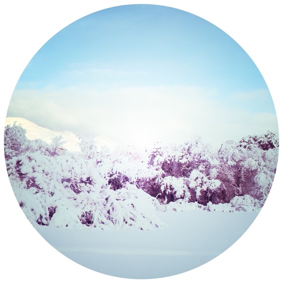 Profile Picture of Jenny Hankinson (@sugarbowlart) on Poshmark