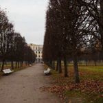 Profile Picture of Tralee Ernston (@tralee_ernston) on Instagram