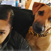 Profile Picture of LYNNETTE ROCHA McFarlane (@lynnetterochamcfarlane9731) on Youtube