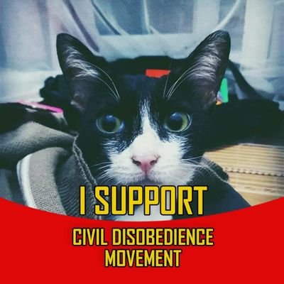 Profile Picture of Khin Thitsar Soe (@KThitsarSoe) on Twitter