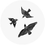 Profile Picture of Benjamin Eichhorn (@b_b_____m___b) on Instagram